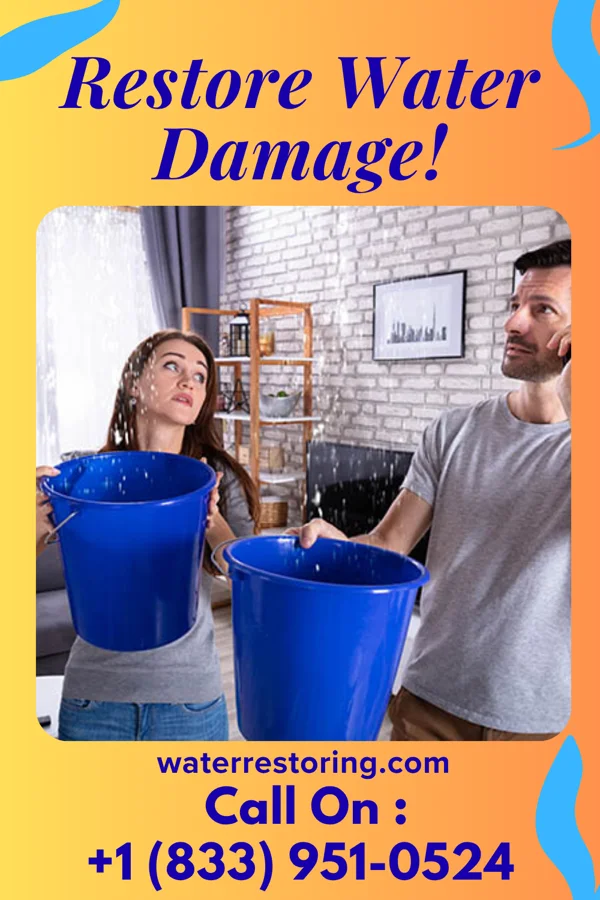 water restoration Horizon Cleanup Co Boston