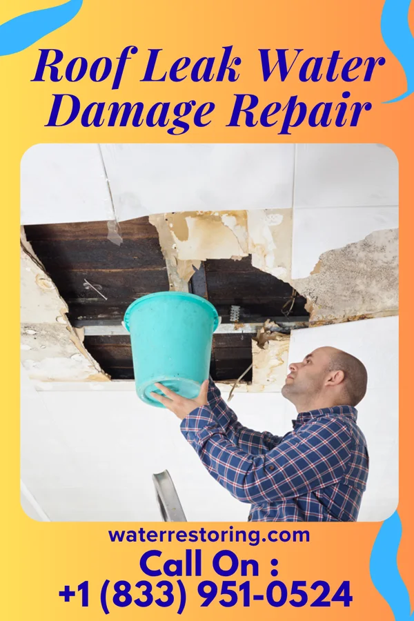 Roof Leak Water Damage Repair in Boston, PA