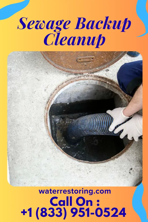 Sewage Backup Cleanup in Boston, PA